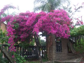 2013-11-19 043.JPG
